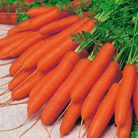 هویج نارنجی + قیمت خرید فروش